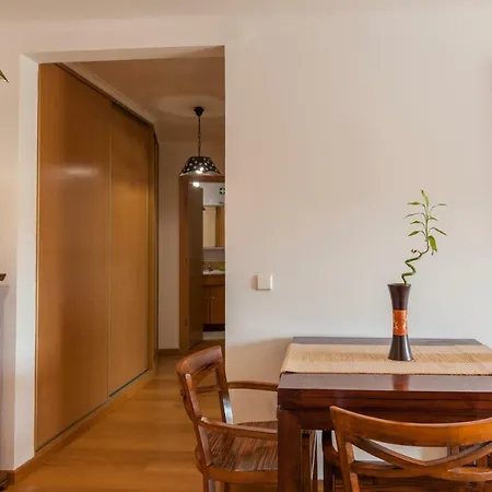 Apartment Casa Das Olaias & Closed Parking